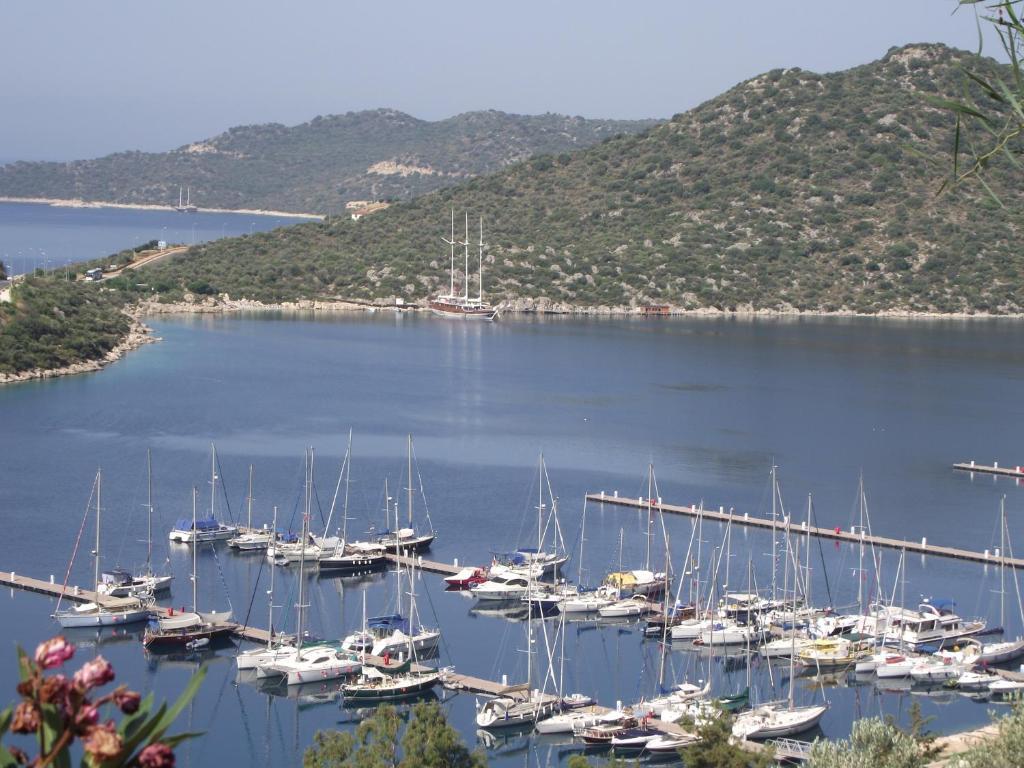 Miramar Pansiyon Kaş Exteriör bild